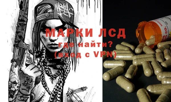 гидропоника Аркадак